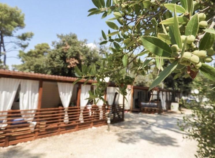 Campsite Mobile Cube, 3 Bedrooms, Free Parking, Wifi *