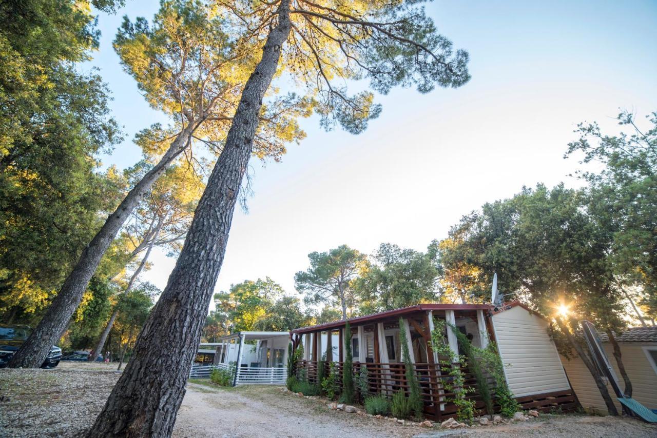 Mobile Cube, 3 Bedrooms, Free Parking, Wifi Campsite
